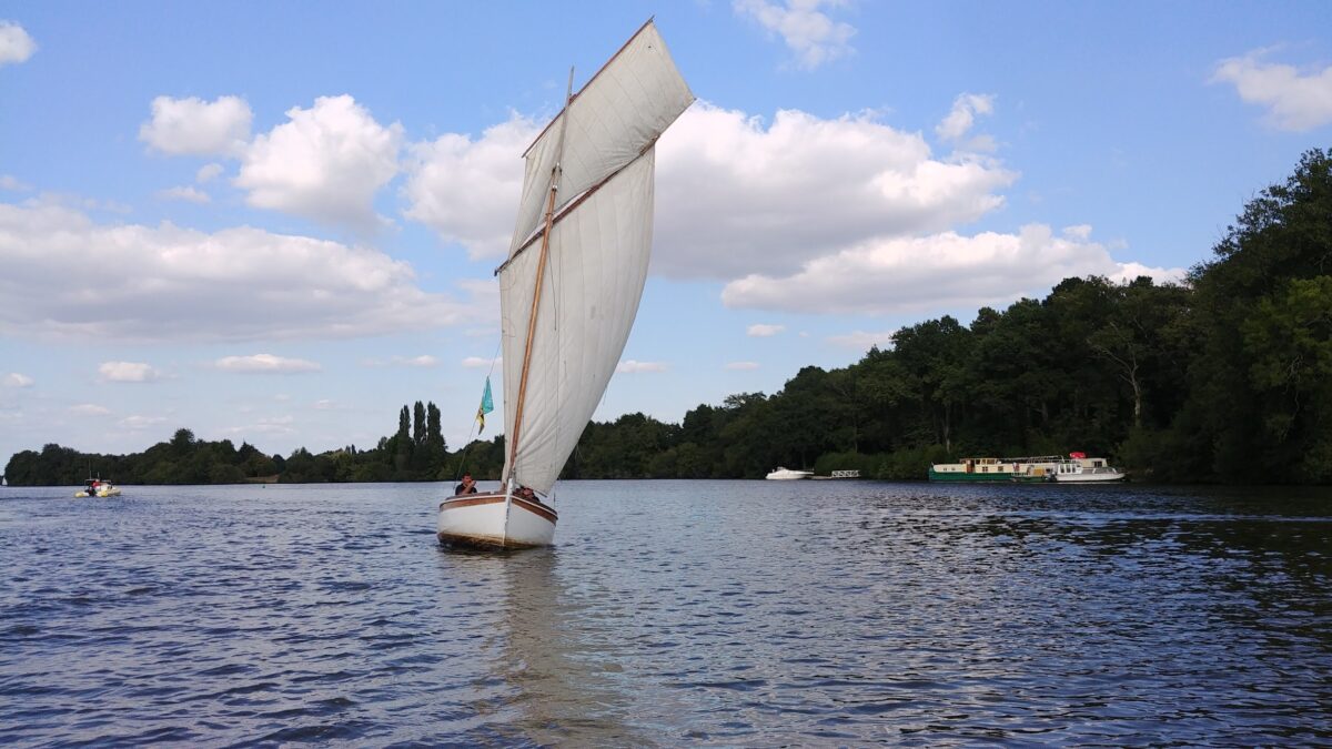 Canot en bois sous voile - Nantes / Erdre